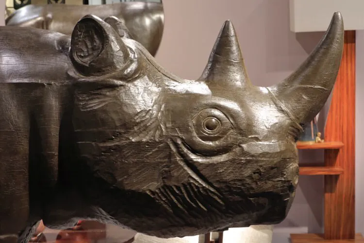 Detail view 2 – Young Rhinoceros