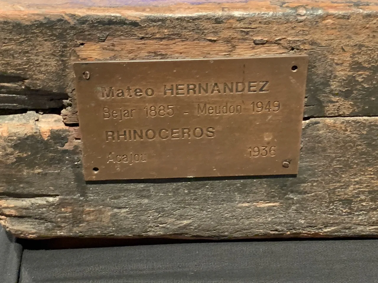 Detail view 3 – Young Rhinoceros